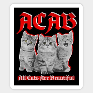 All Cats Are Beautiful Sticker